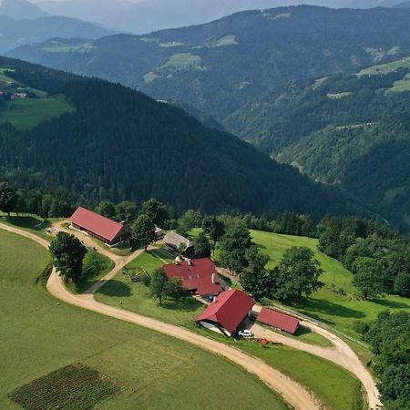 Farmstay&Glamping Visocnik Ljubno Экстерьер фото
