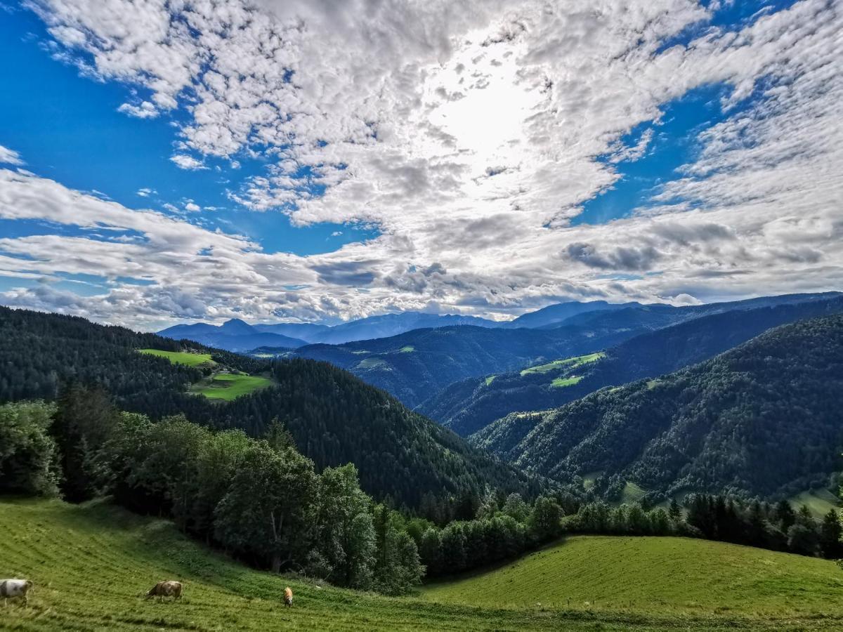 Farmstay&Glamping Visocnik Ljubno Экстерьер фото