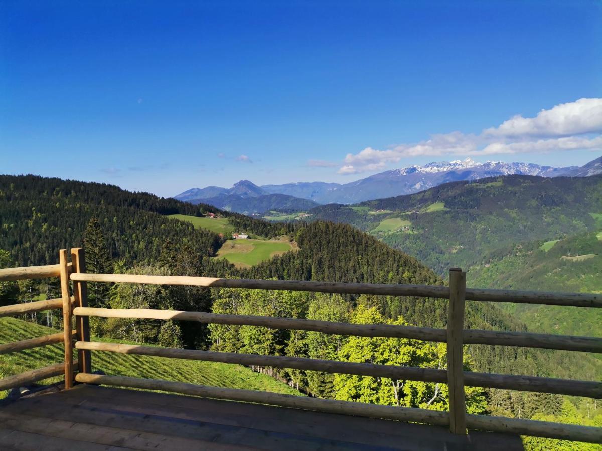 Farmstay&Glamping Visocnik Ljubno Экстерьер фото