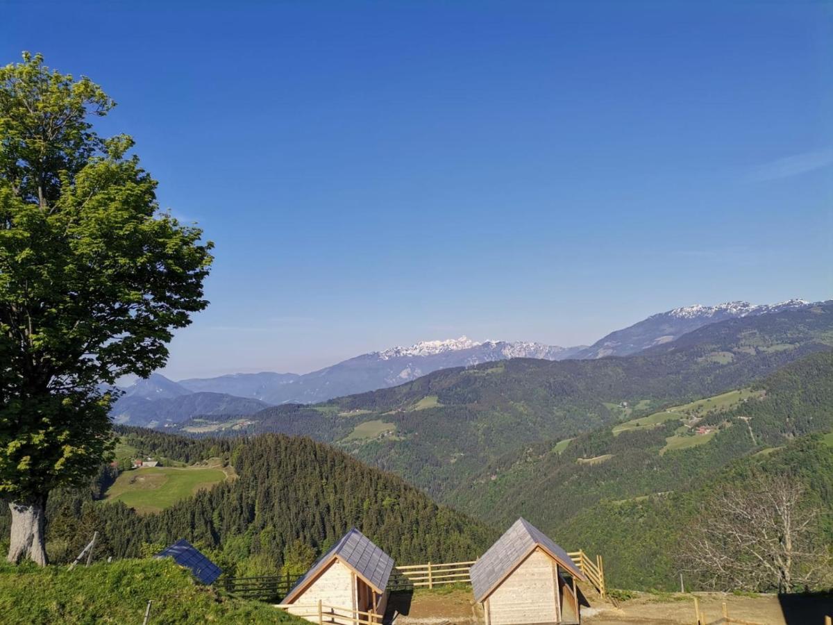 Farmstay&Glamping Visocnik Ljubno Экстерьер фото