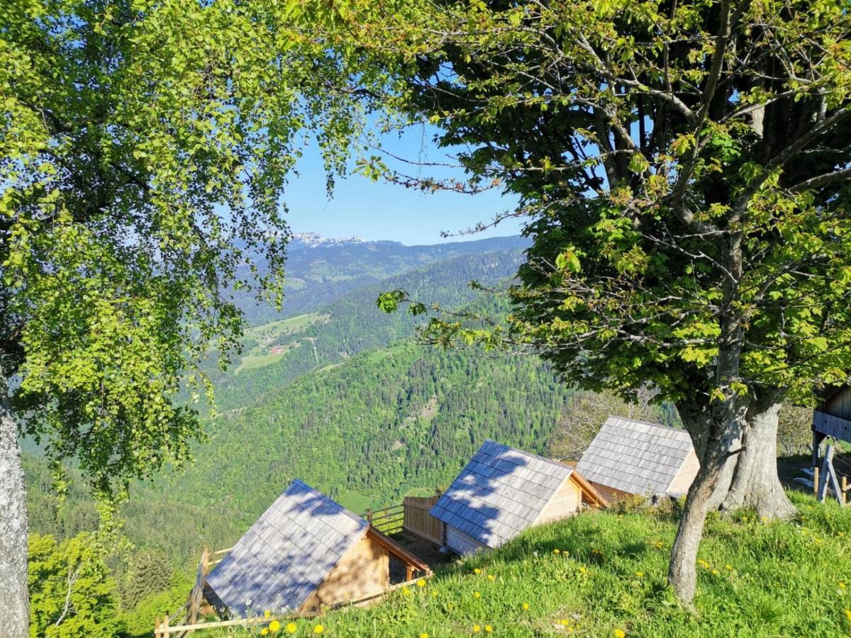 Farmstay&Glamping Visocnik Ljubno Экстерьер фото