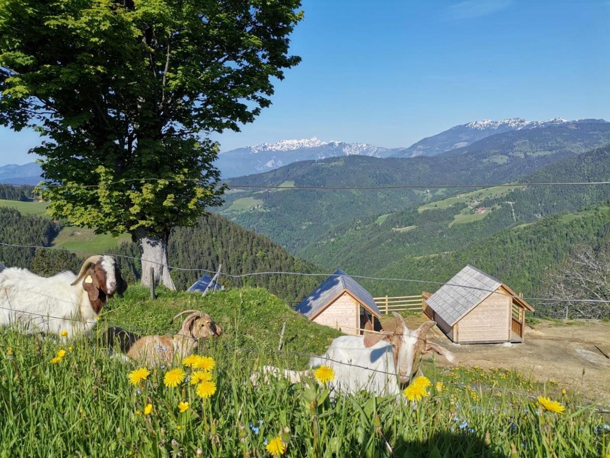 Farmstay&Glamping Visocnik Ljubno Экстерьер фото