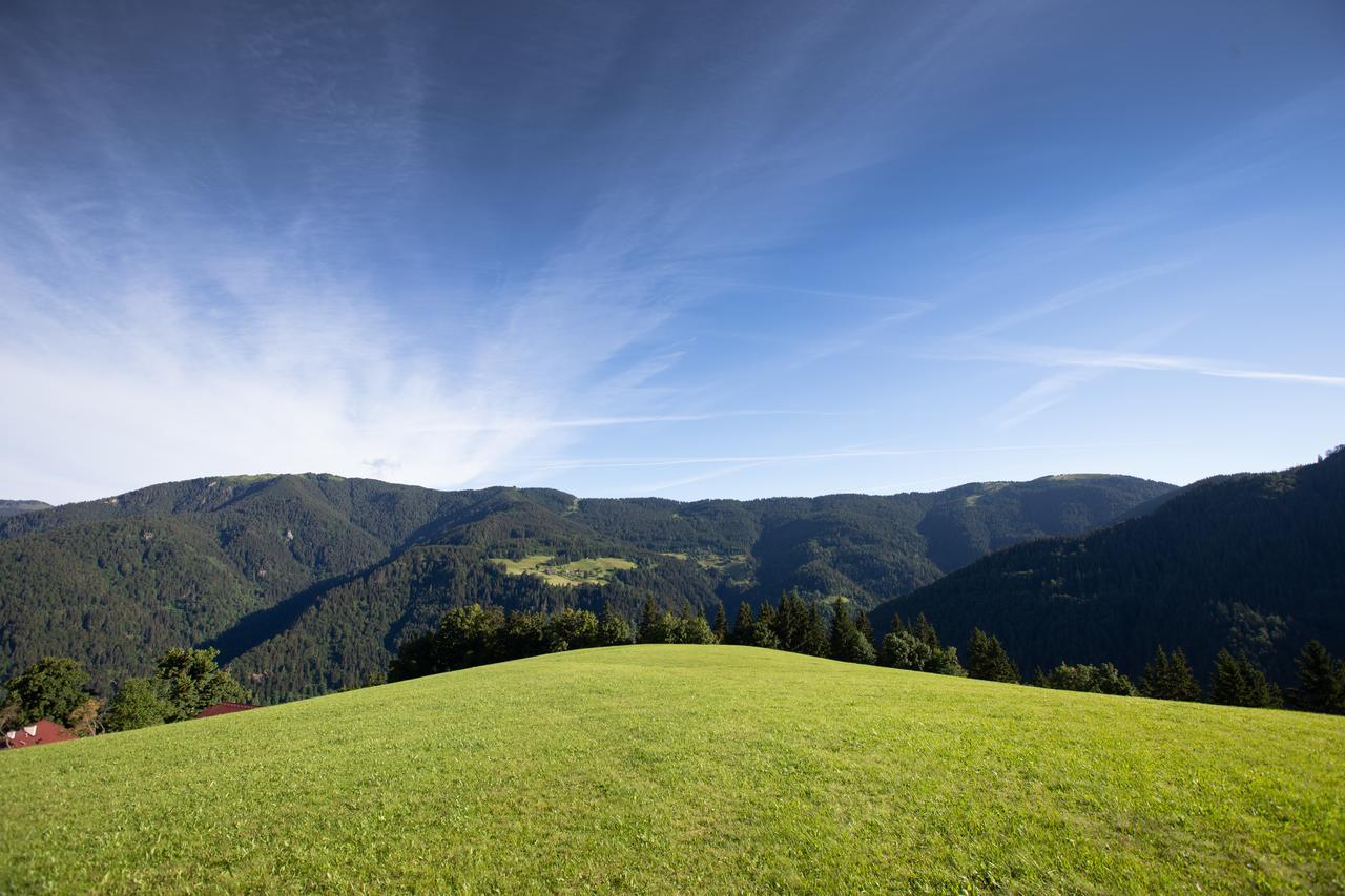 Farmstay&Glamping Visocnik Ljubno Экстерьер фото