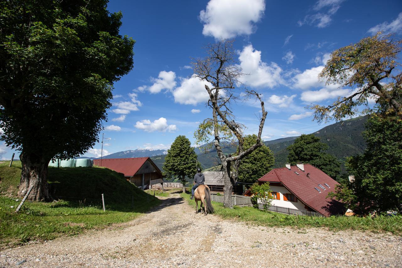 Farmstay&Glamping Visocnik Ljubno Экстерьер фото