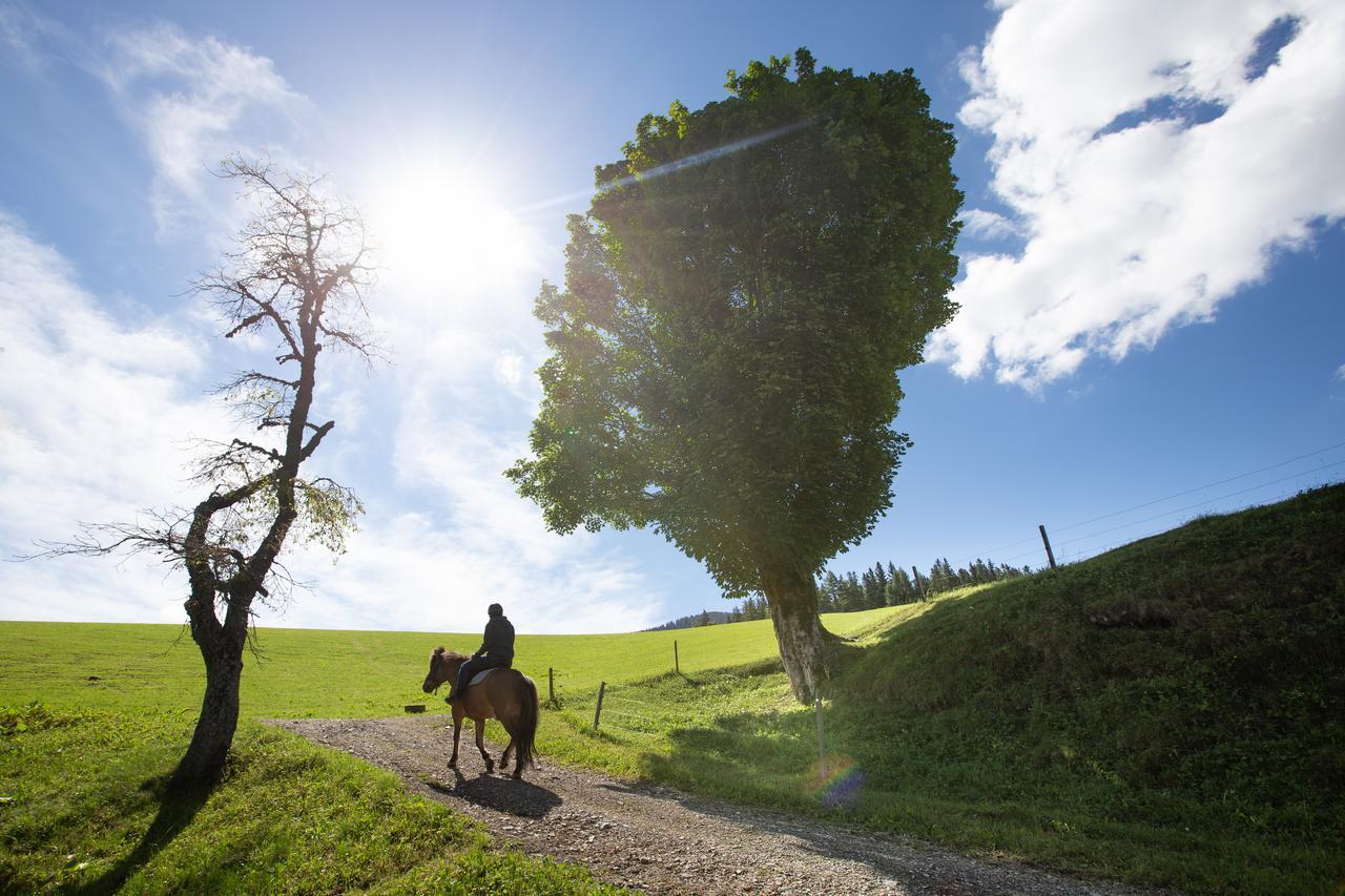 Farmstay&Glamping Visocnik Ljubno Экстерьер фото