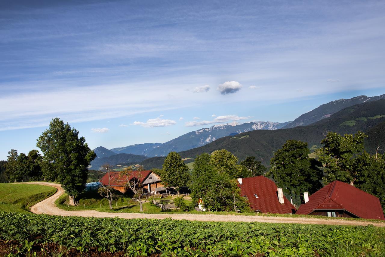 Farmstay&Glamping Visocnik Ljubno Экстерьер фото