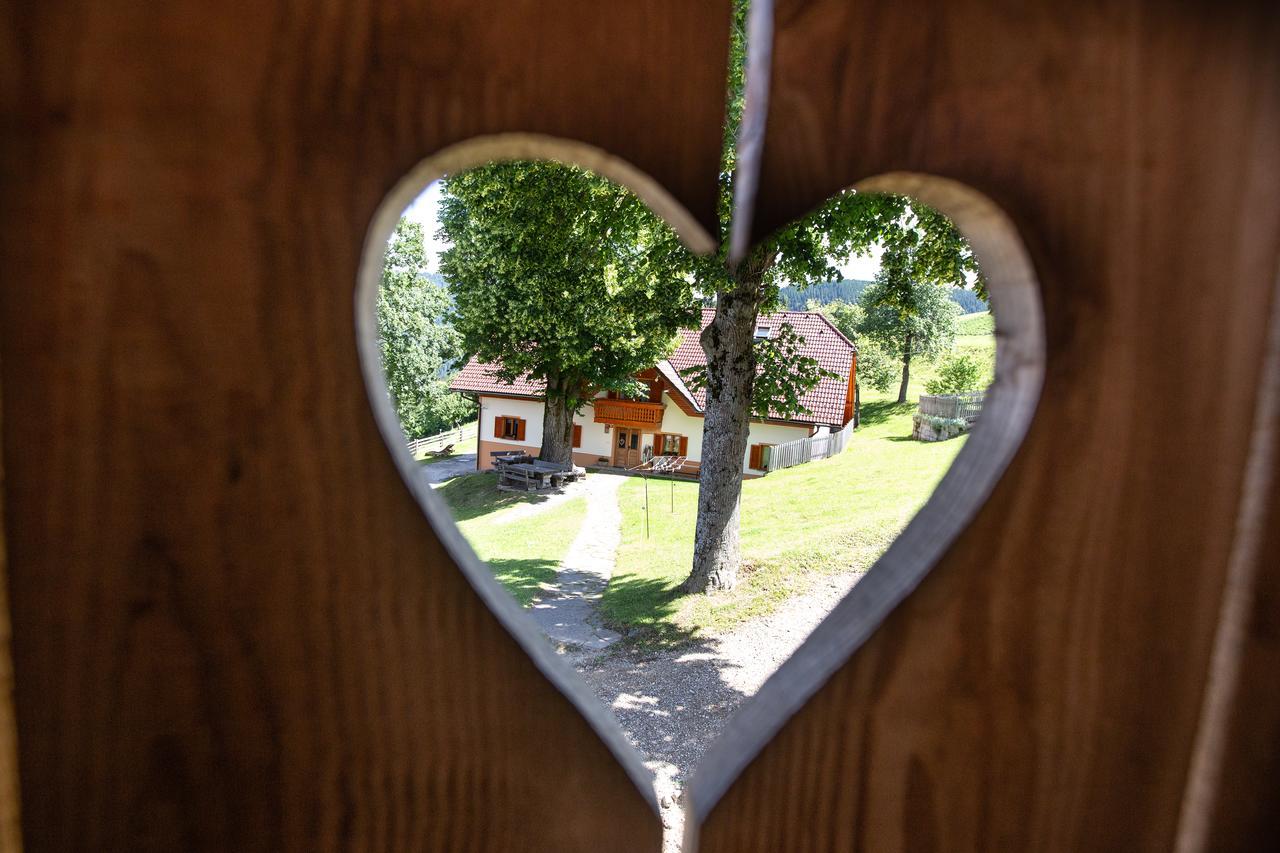 Farmstay&Glamping Visocnik Ljubno Экстерьер фото