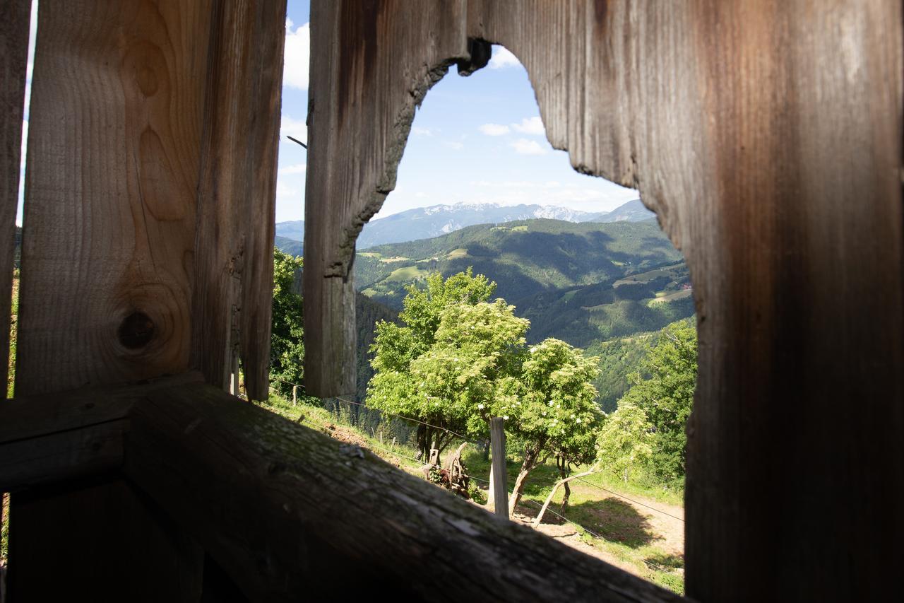Farmstay&Glamping Visocnik Ljubno Экстерьер фото