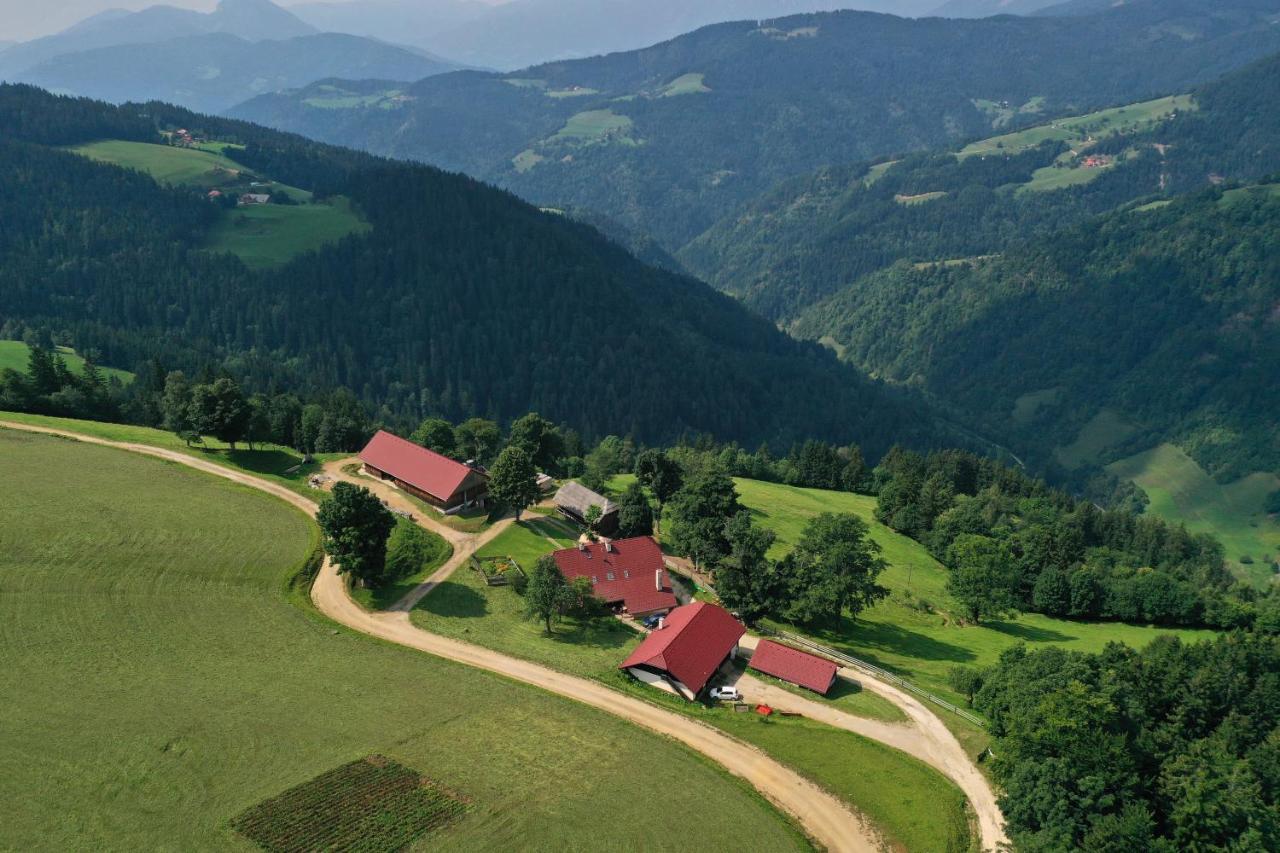 Farmstay&Glamping Visocnik Ljubno Экстерьер фото