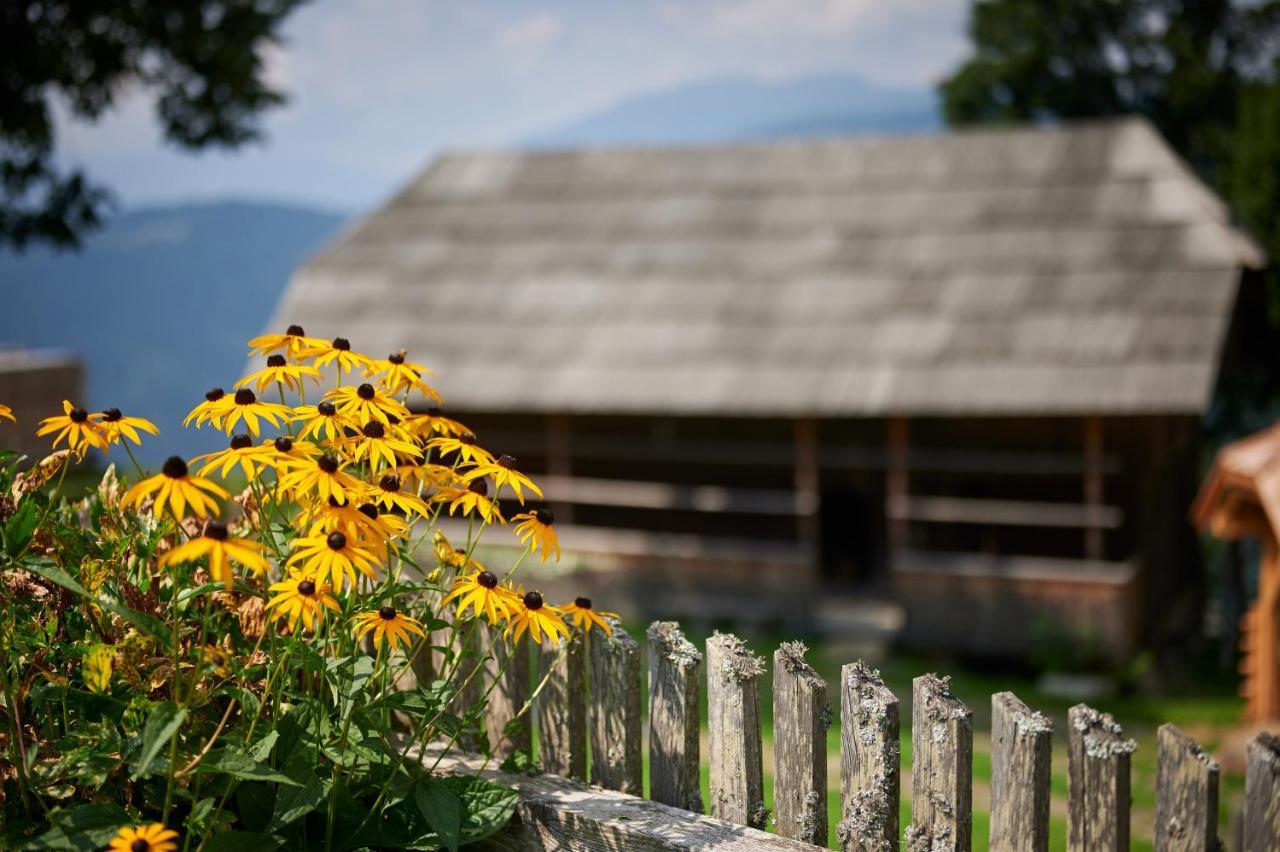 Farmstay&Glamping Visocnik Ljubno Экстерьер фото