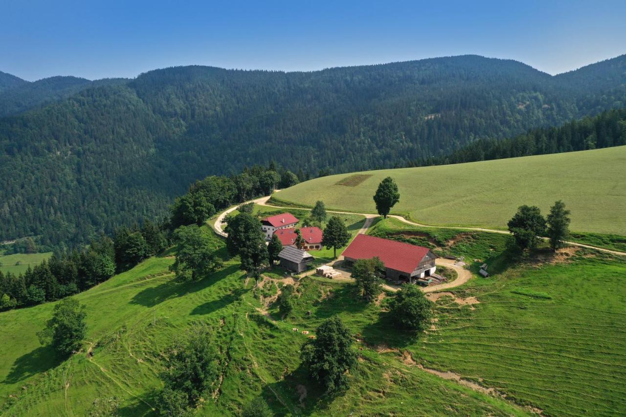 Farmstay&Glamping Visocnik Ljubno Экстерьер фото