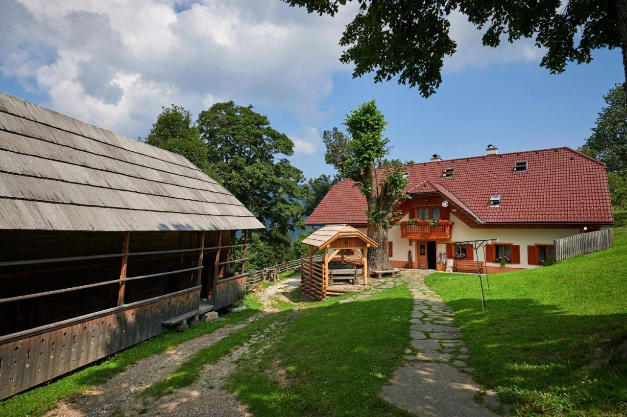 Farmstay&Glamping Visocnik Ljubno Экстерьер фото