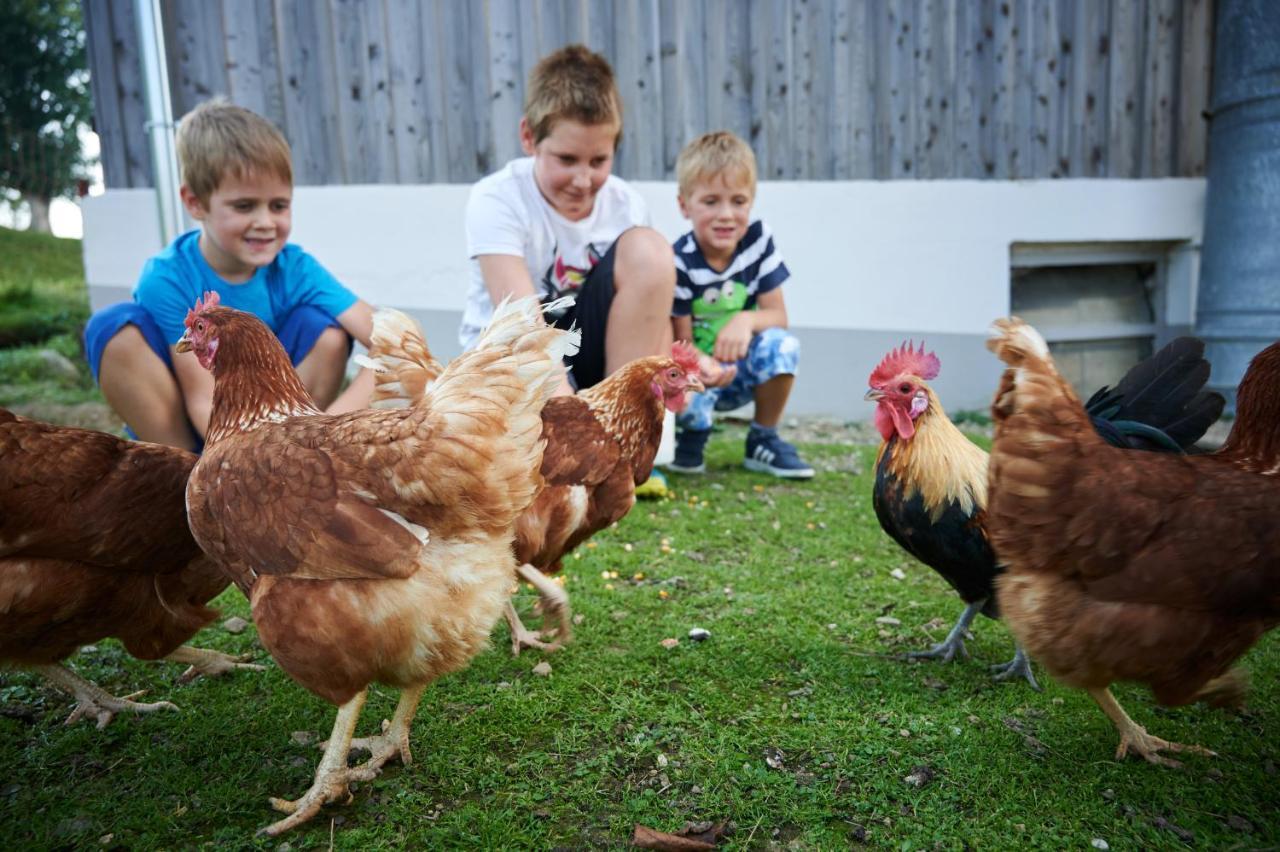 Farmstay&Glamping Visocnik Ljubno Экстерьер фото