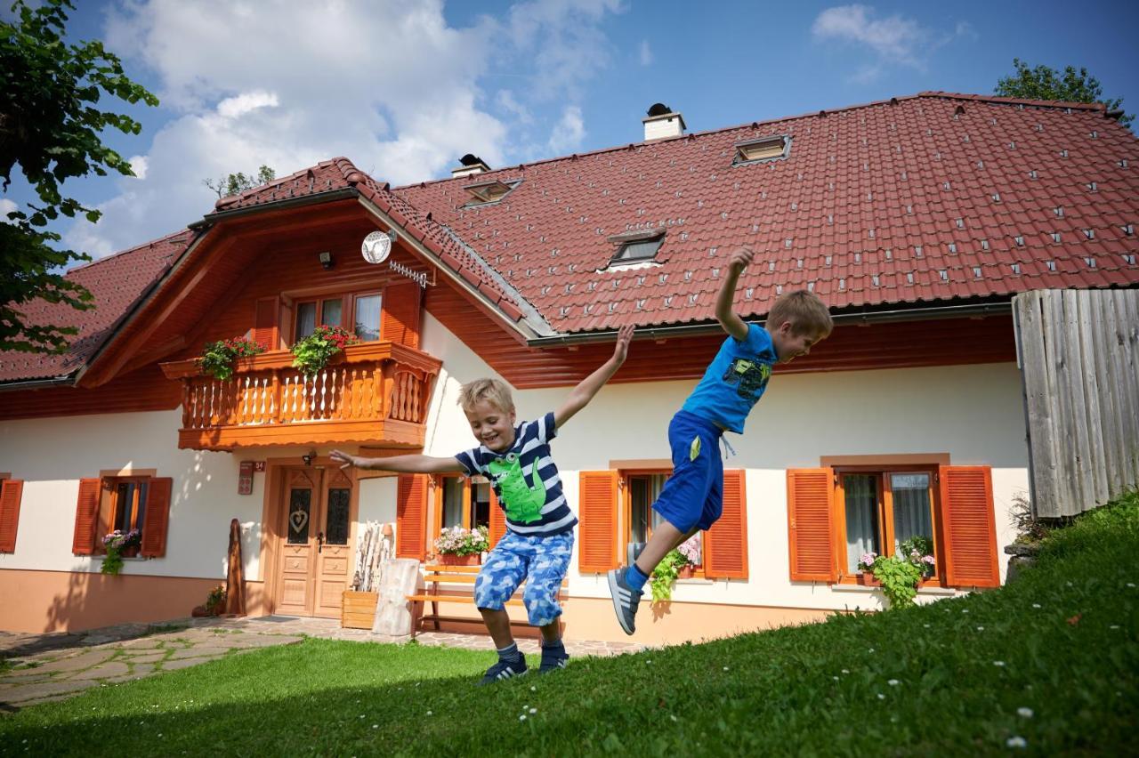 Farmstay&Glamping Visocnik Ljubno Экстерьер фото