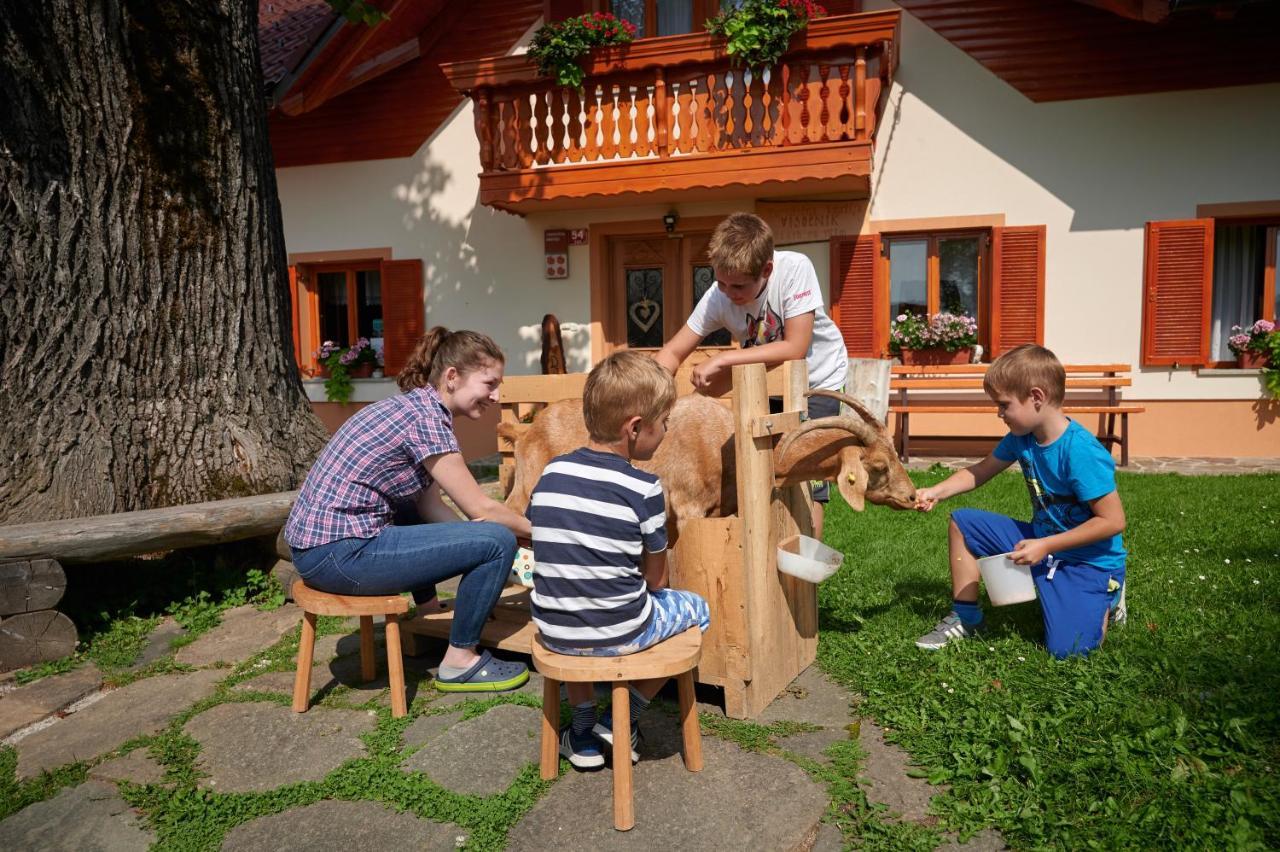 Farmstay&Glamping Visocnik Ljubno Экстерьер фото
